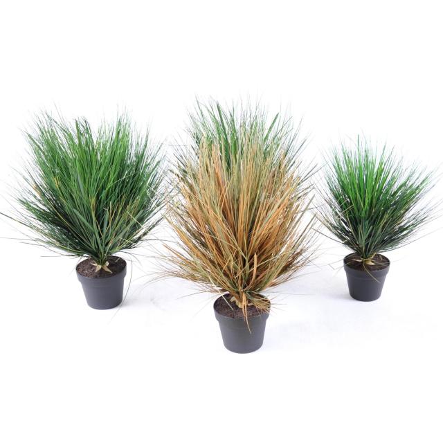 Onion Grass Artificiel Round