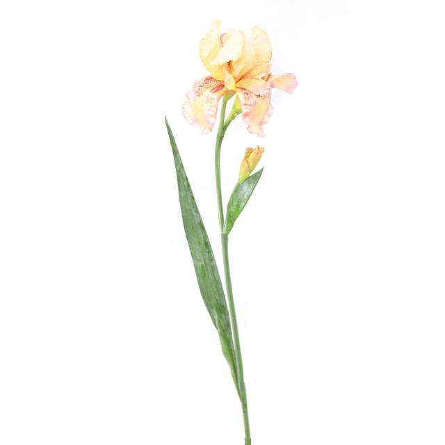 Iris Artificiel
