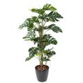 Philodendron Artificiel Tuteur Coco NEW