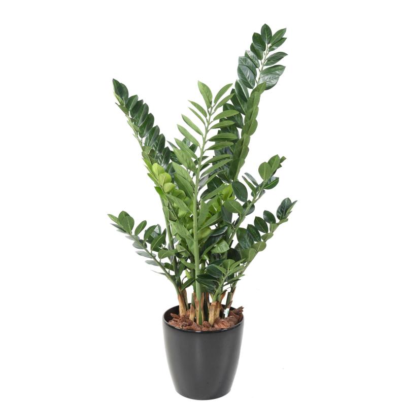 Zamia Artificiel 110