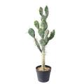 Cactus Artificiel