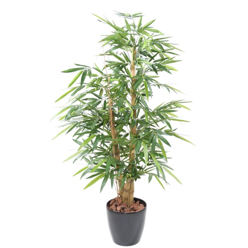 Bambou Buddha TREE