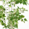 Bouleau Artificiel Verruqueux