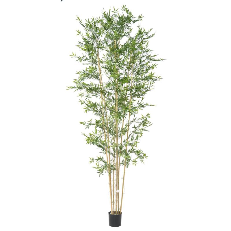 Bambou Japanese PLAST UV