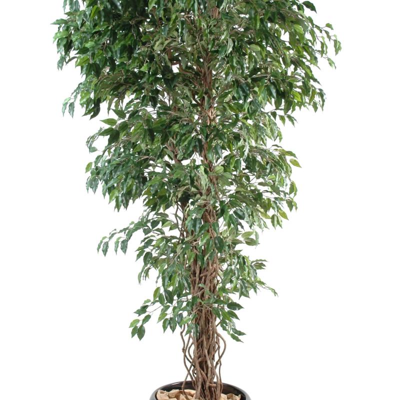 Ficus Artificiel Lianes PF