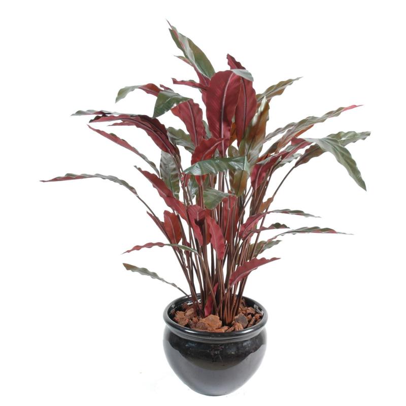 Calathea Artificiel Longues Feuilles