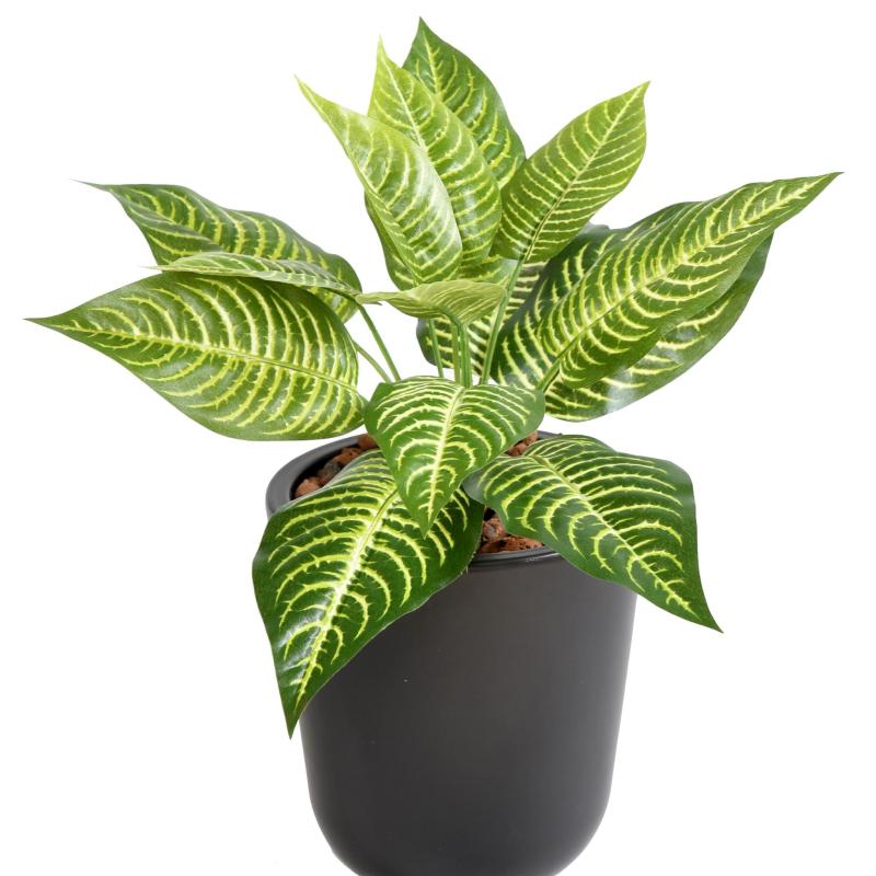 Aphelandra Artificiel Mini