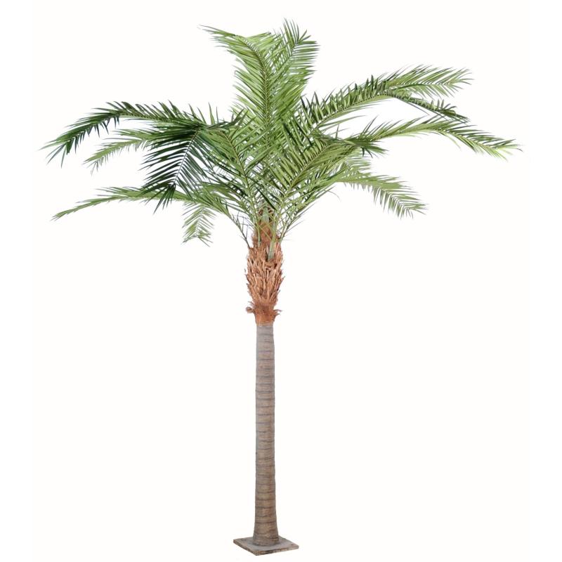 Phoenix Artificiel Canariensis