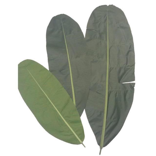 Bananier Artificiel Feuille