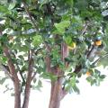 Oranger Artificiel Arbre Double