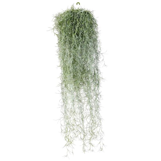 Tillandsia Artificiel (mousse Espagnole)