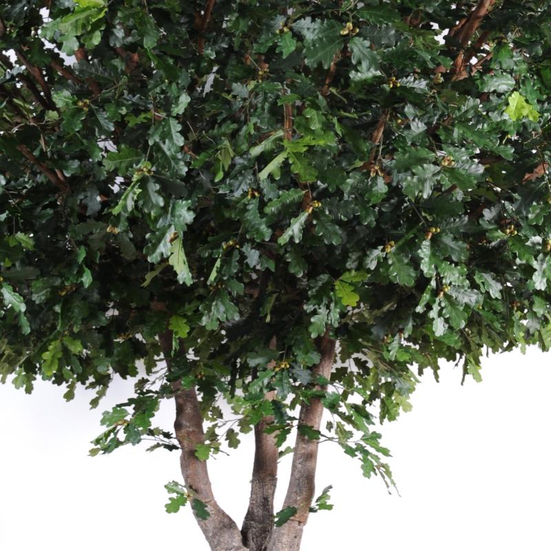 Chene Artificiel Arbre