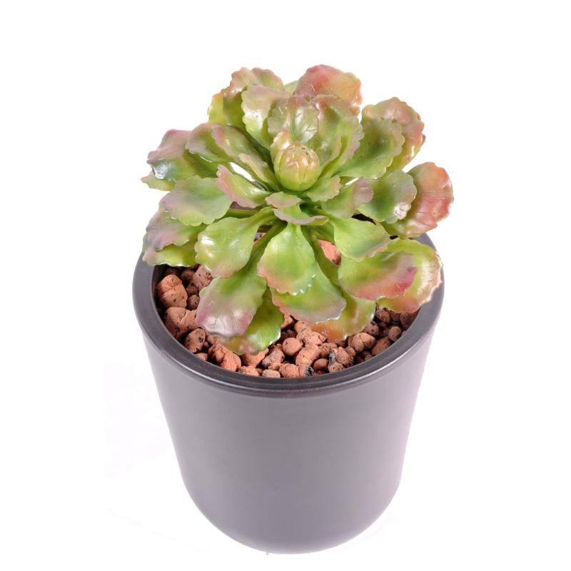 Succulente Artificielle 15