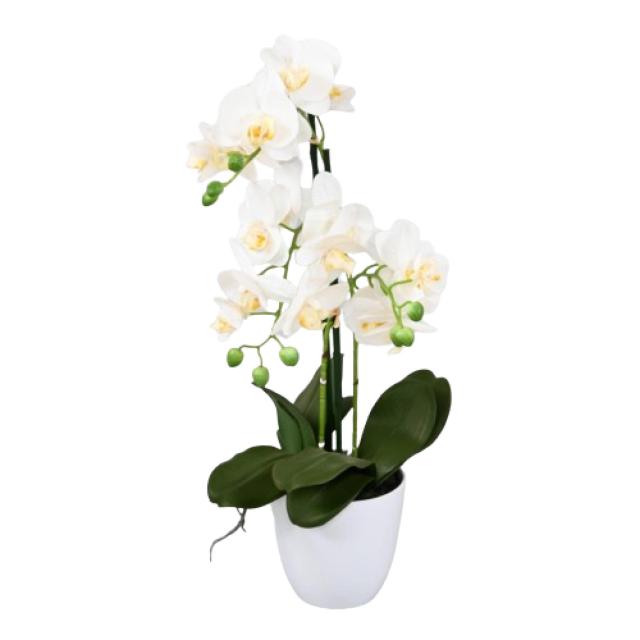 Phalaenopsis Artificielle Pot*3