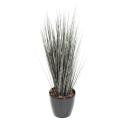 Miscanthus Artificiel Zebrina