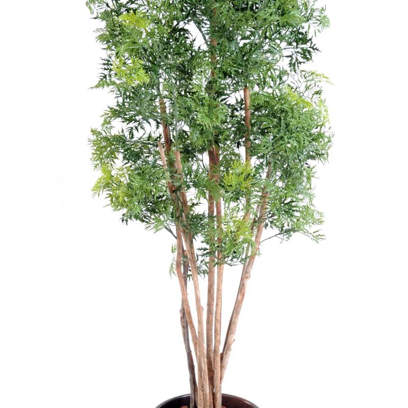 Aralia Artificiel Ming Nitida