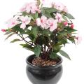 Impatiens Artificielle Piquet