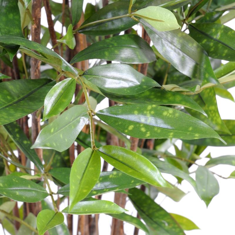 Dracaena Artificiel Surculosa