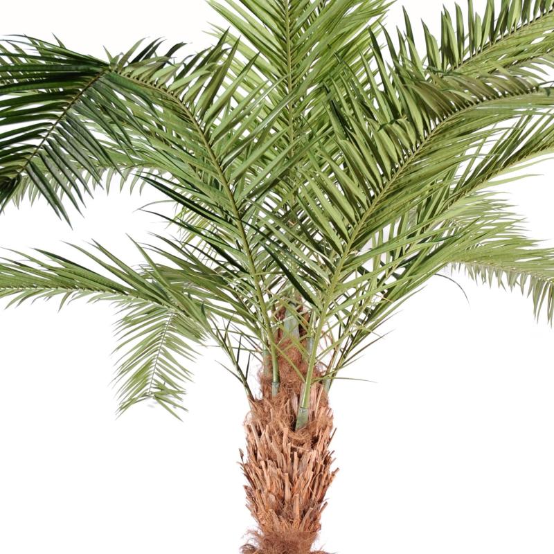 Phoenix Artificiel Canariensis