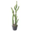 Cactus Artificiel Finger F