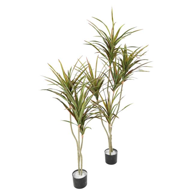 Dracaena Artificiel Tronc Artificiel