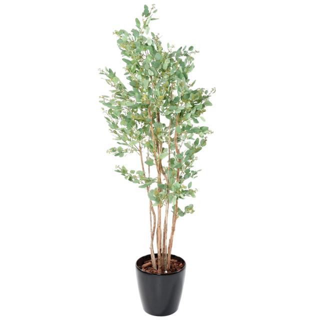 Eucalyptus Artificiel Baies