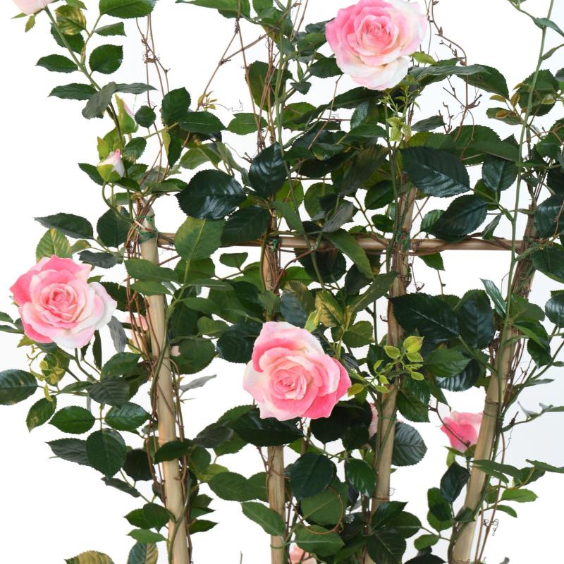 Rosier Artificiel Royal Palissade