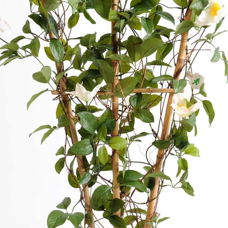 Clematite Artificielle Palissade