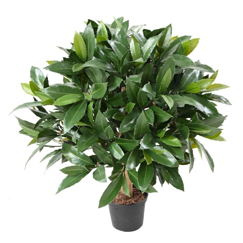 Laurier Nobilis Artificiel NEW Boule UV