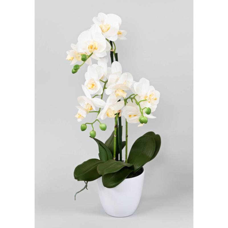 Phalaenopsis Artificielle Pot*3