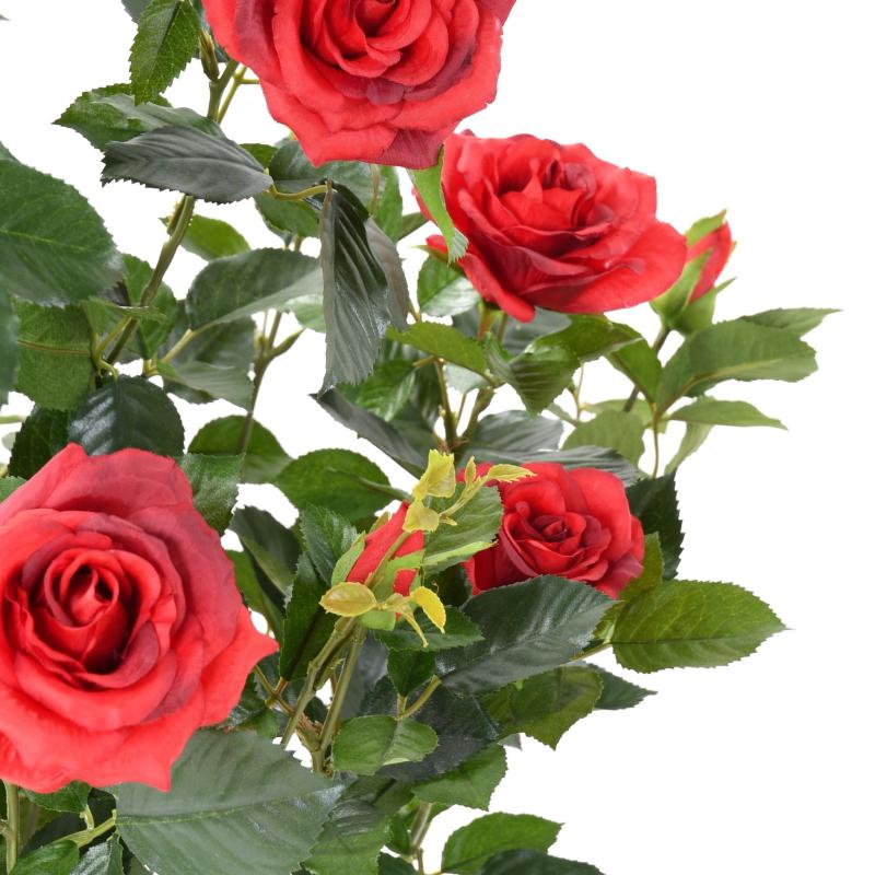 Rosier Artificiel Royal