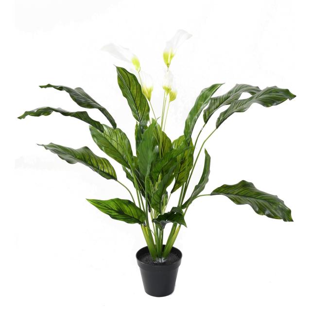 Spathiphyllum Artificiel