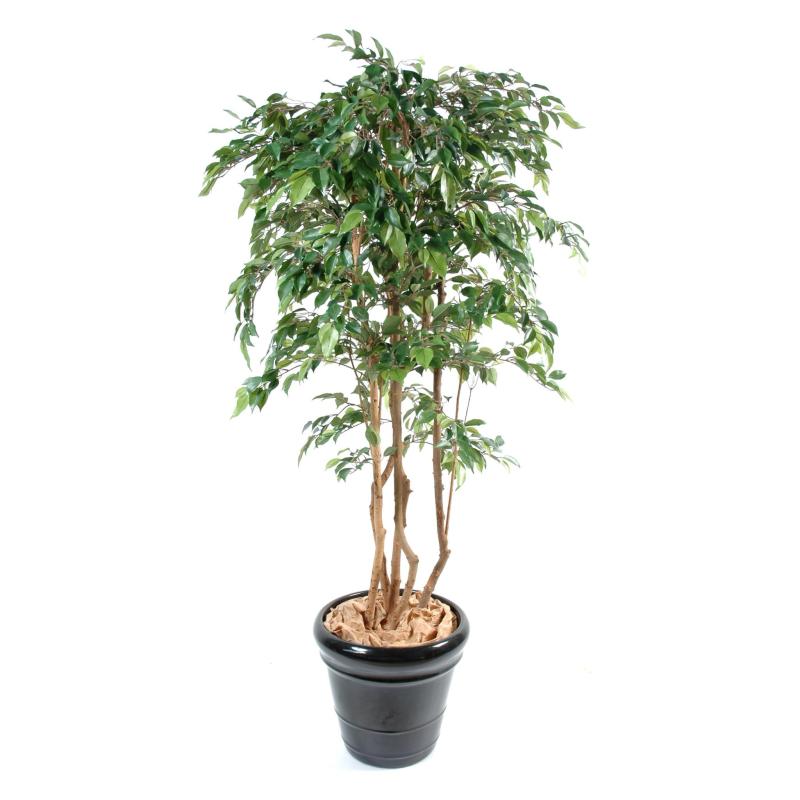 Ficus Artificiel Multitree Natasja