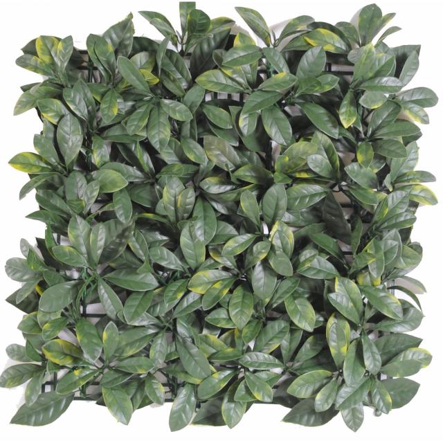 Cornouiller Artificiel Plaque 50*50
