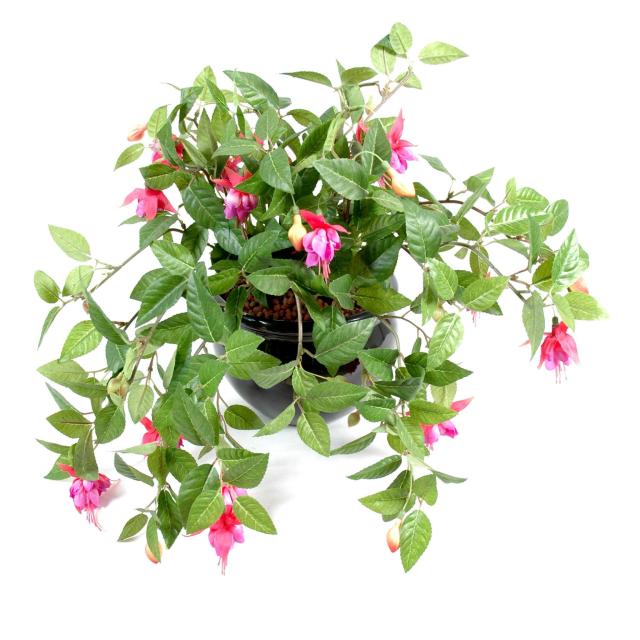 Fuchsia Artificiel Chute*306