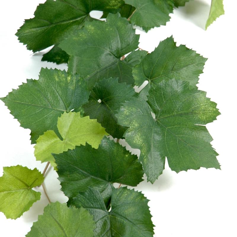 Vigne Artificielle Guirlande