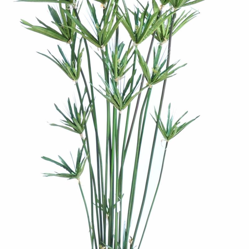 Papyrus Artificiel Alternifolius