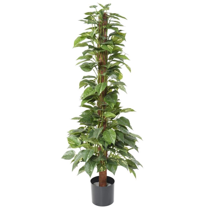 Pothos Artificiel Tuteur