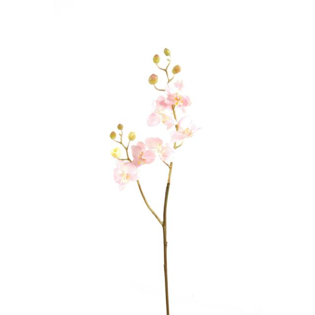 Phalaenopsis Artificielle m Tige