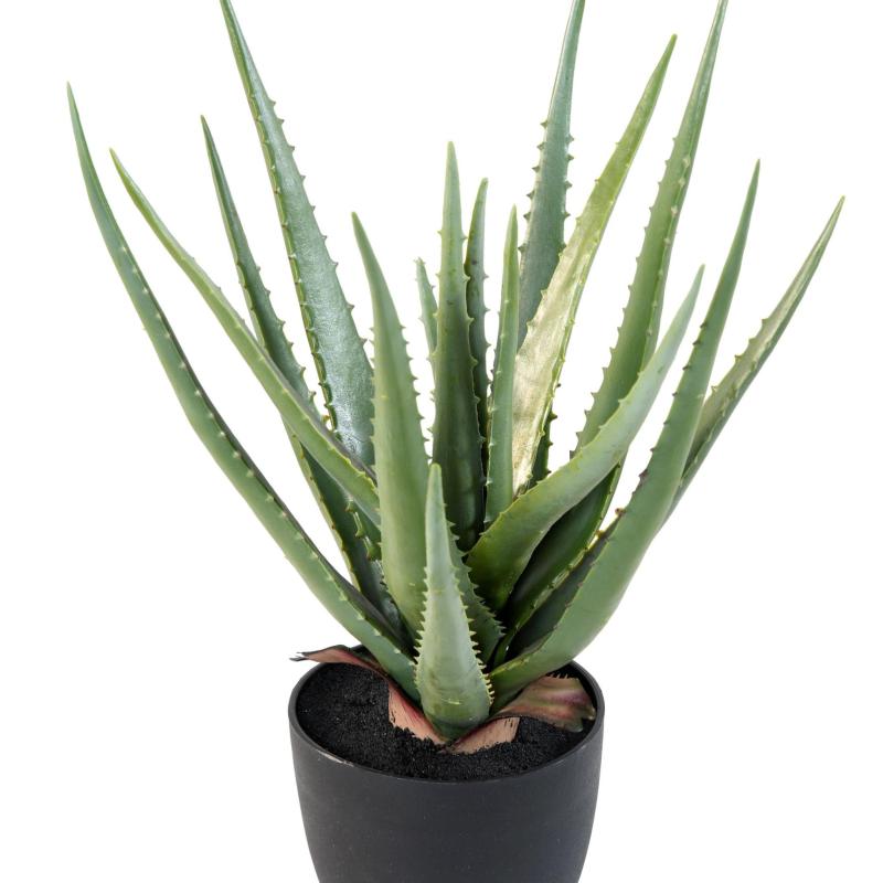 Aloe Artificielle 48