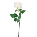 Rose 66 Artificielle