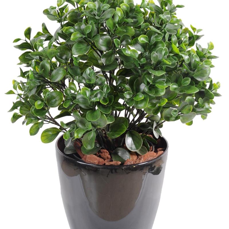 Peperomia Artificiel PLAST Buisson