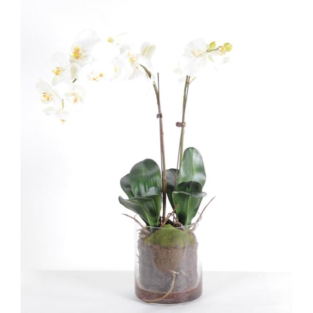 Phalaenopsis Artificielle Vase Rond