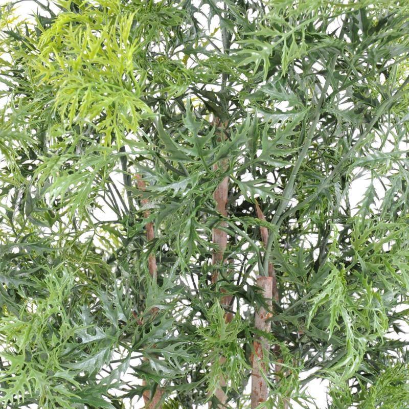 Aralia Artificiel Ming Nitida