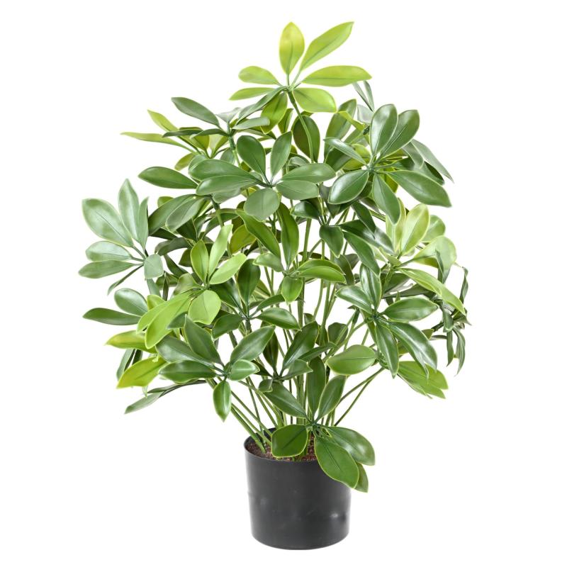 Schefflera Artificiel Pot PLAST 50 UV