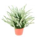 Bruyere Artificielle Large en Pot