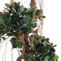 Ficus Artificiel Panda NEW 170