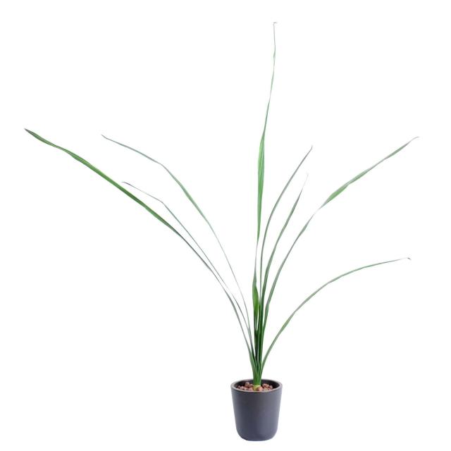 Feuille Artificielle Cymbidium
