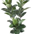 Rubber Plant Artificiel , Ficus Elastica