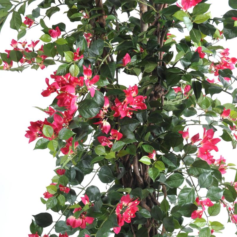 Bougainvillée Artificiel NEW Lianes